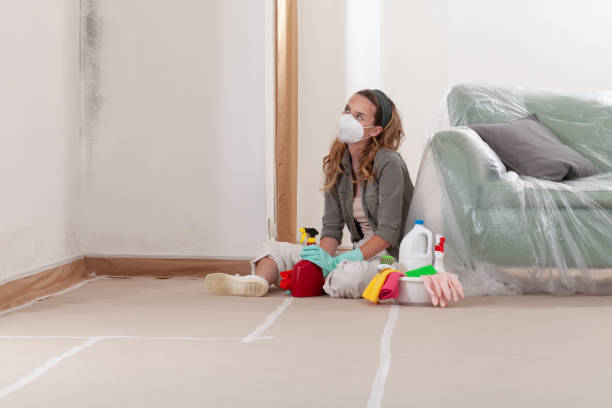Reliable Black Mold Removal contractor in Glen Ridge, NJ by WQB Mold Removal